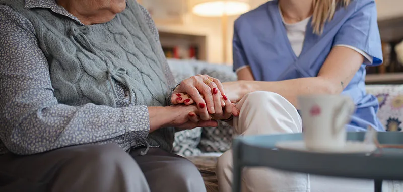 palliative courses